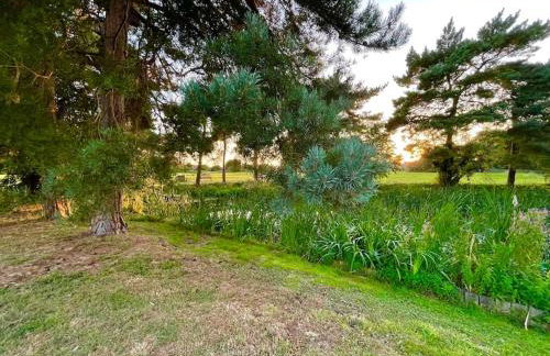 4@No.4. A cosy spot for 4 and one furry friend - Foto 23