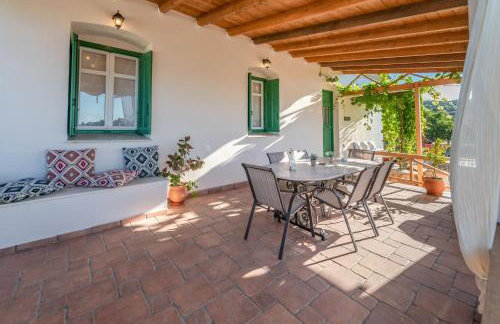 Sempreviva - Foto 70