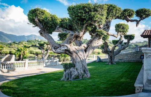 Tenuta Pietravera - Foto 14