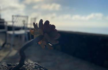 Los Torres II - Foto 8