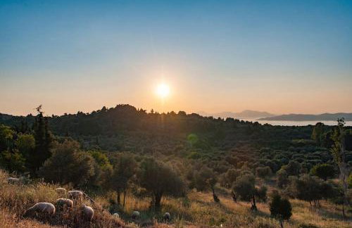 Renovated old traditional House - Photo 42