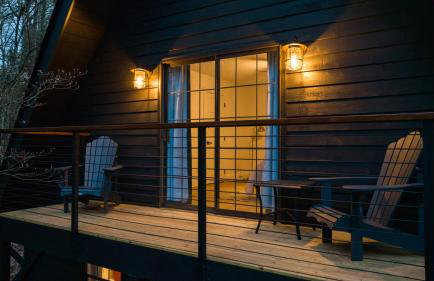 Smokys Landing Disc Golf Game Room Hot Tub - Photo 29