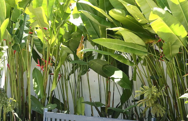 Vila Perainda - Photo 33