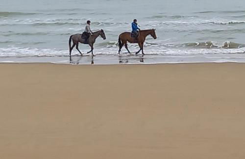 Chez Jeanne - Foto 22