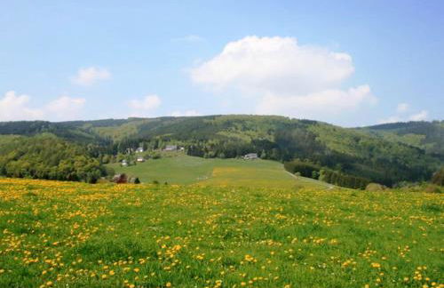 Ferienwohnung bei Willingen mit Terrasse - Foto 33