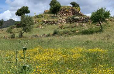 Sa Domu Frisca - Foto 25