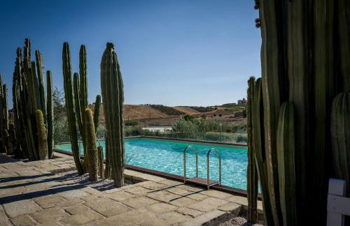 Garden Cactus - Foto 53