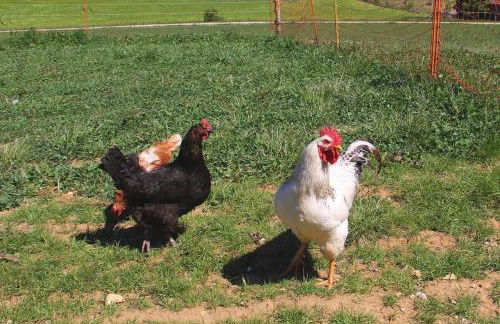 Wunderwelt Betzenstein familiär-ländlich-modern - Foto 24