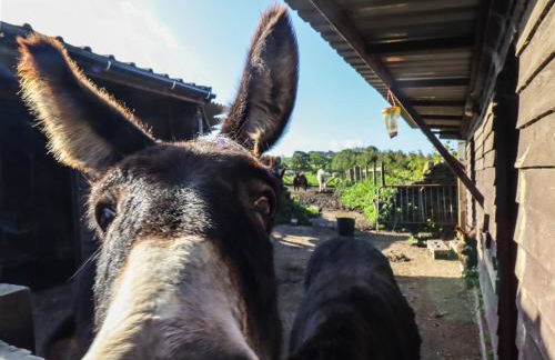 The Old Piggery - Foto 23