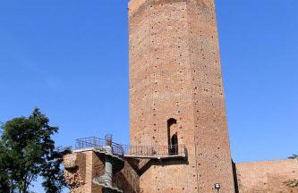 Agroturystyka Wilczyn Cegielnia - Foto 42