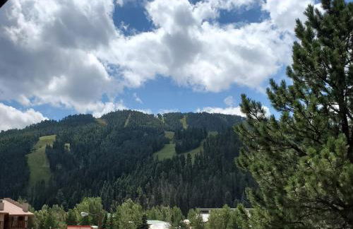 Rose Rock Mountain View - Pet Friendly - Fireplace - WiFi - Hot Tub - Washer - Dryer - Foto 25