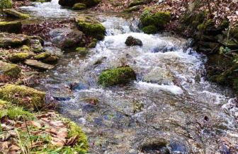 Bungalow Schwarzatalblick in Bad Blankenburg Ortsteil Böhlscheiben - Foto 51