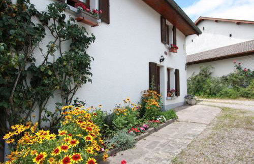 Gîte spacieux et confortable au Val d'Ajol, à proximité de Plombières-les-Bains, animaux de ferme ! - FR-1-589-139 - Foto 29