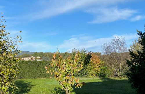 Domaine de la Noiseraie - Foto 8