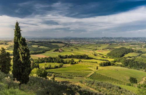 Fattoria Di Pancole - Foto 36
