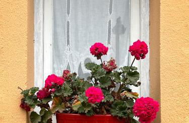 Apartament Sant Feliu de Guíxols downtown - Foto 30