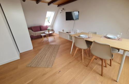 Studio Apartment for 1-2 People with Rhine View - Foto 1