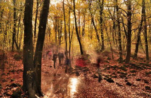 Allotjaments Rurals Can Pere Petit - Photo 45