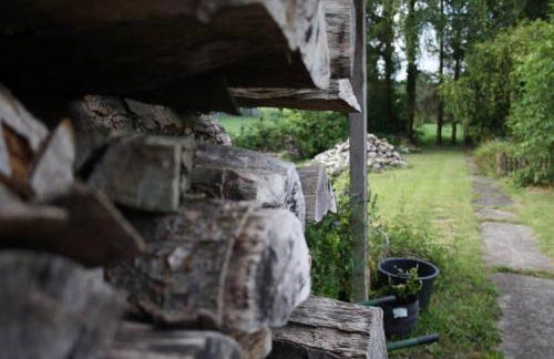 Ferienwohnung Roswitha in Blieskastel - Photo 7