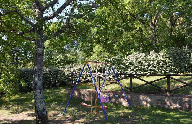 A spasso tra gli ulivi - Foto 37