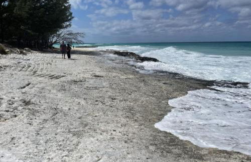 Sunset Bliss - Foto 10