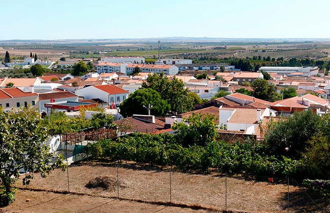 Casa das Talhas Winery Visit - Foto 3