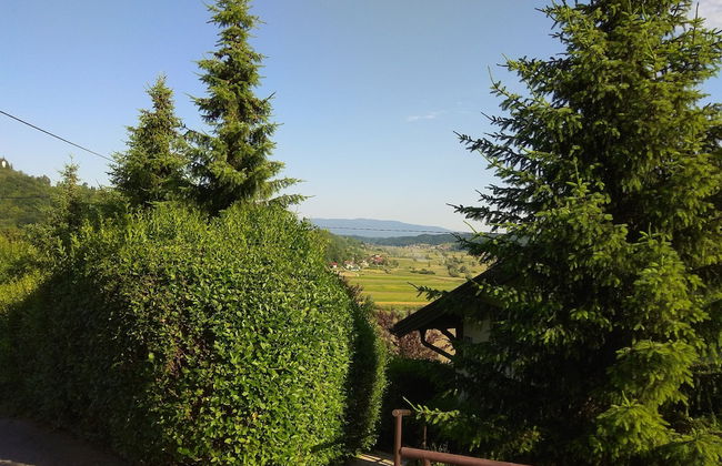 Apartments Country House Stipica - Foto 27