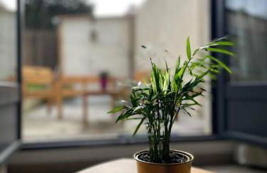 Studio Cosy Fleur de Lys - Foto 5