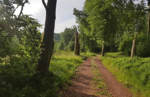 ferienwohnungen.ruhla - Foto 24