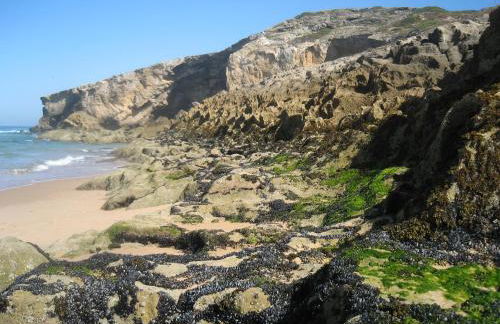 Lucas House 1 - Foto 39