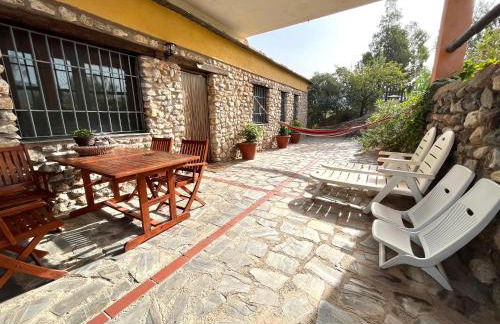 Secano de Paco - Foto 37