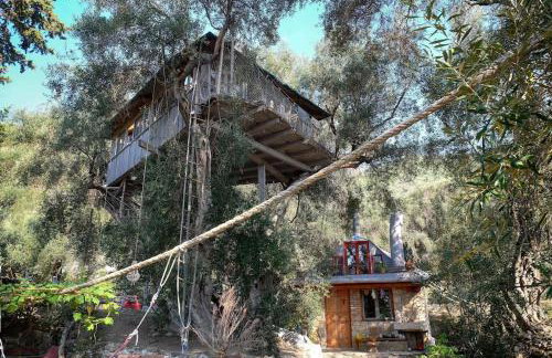 Margaritis's Treehouse - Foto 5