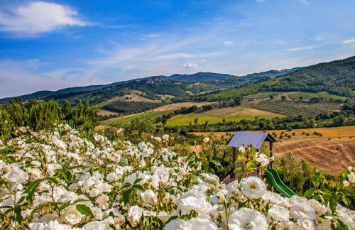 Apartment Allerona-3 by Interhome - Foto 25