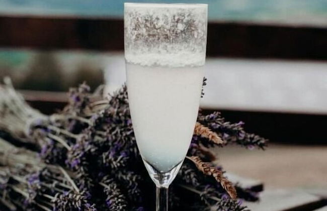 Azienda Agricola Saint Hubert - Foto 56