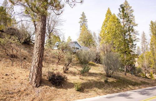 Near Yosemite Bass Lake Cabin with Hot Tub, Lake View, Pet Friendly - Photo 41