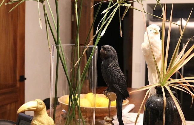 Blue Jungle Lodge - Foto 2