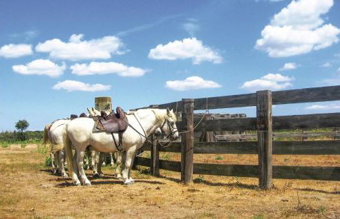Cozy Home In Calvisson With Kitchen - Photo 32