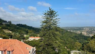 Casa da Villa 1A - Photo 3