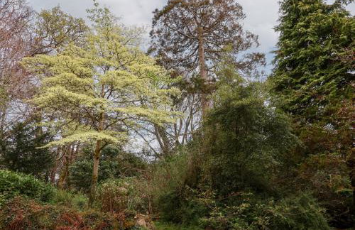 Dunridge Cottage - Foto 22