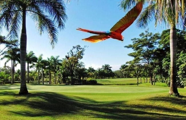Villa Ocean Dreams Los Delfines Golf & Country Club - Foto 28