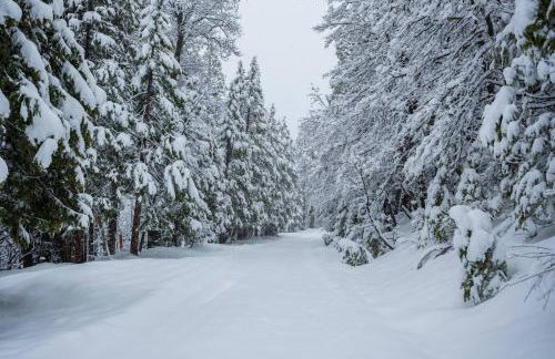 Historic Mountain Retreat - Near Boreal - 3 Kings - Photo 26