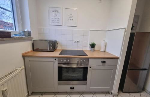 Leipzig Residenz Goethe Apartment mit 2 Dachterrassen - Foto 16