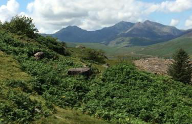 Riverside apartment - Foto 38