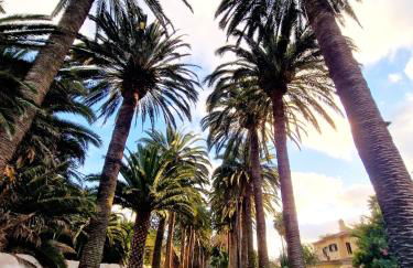 Apartamento Oroval Residencial Anaga - Foto 35