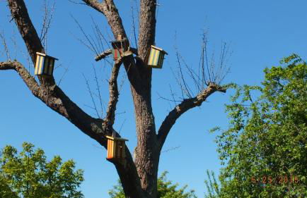 Rotes Haus - Foto 17