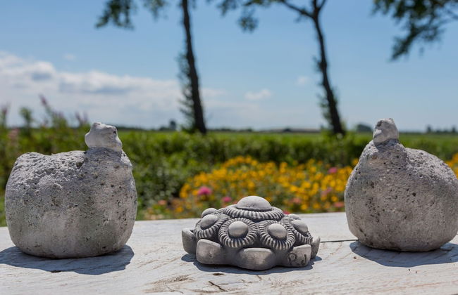 Family House Near Vrouwenpolder Beach - Photo 20