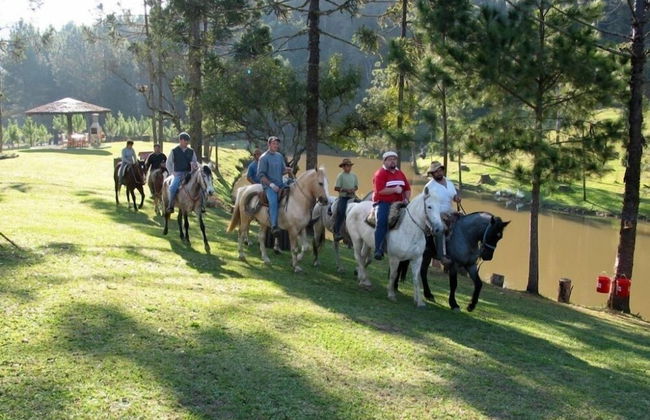 Fazenda Evaristo - Photo 28