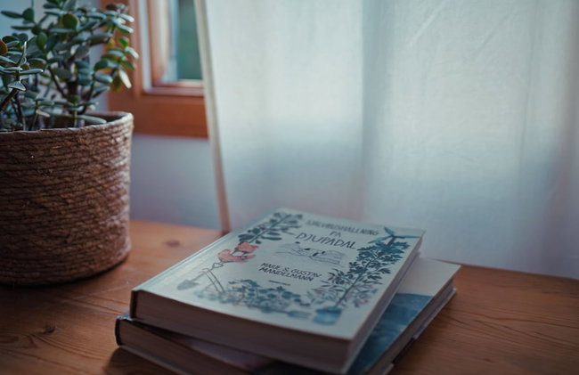 Kåseberga Hideout - Foto 31