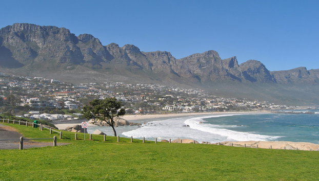 Tour de medio día por Cape Point - Foto 4