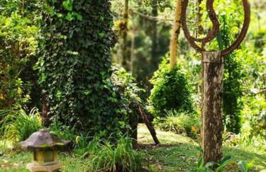 Linda casa em Visconde de Mauá perto da cachoeira - Foto 25